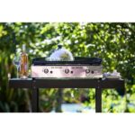 Plancha gaz ENO - 536532010701 – Image 4